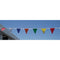 Backstroke Flags 60ft - Multicolour