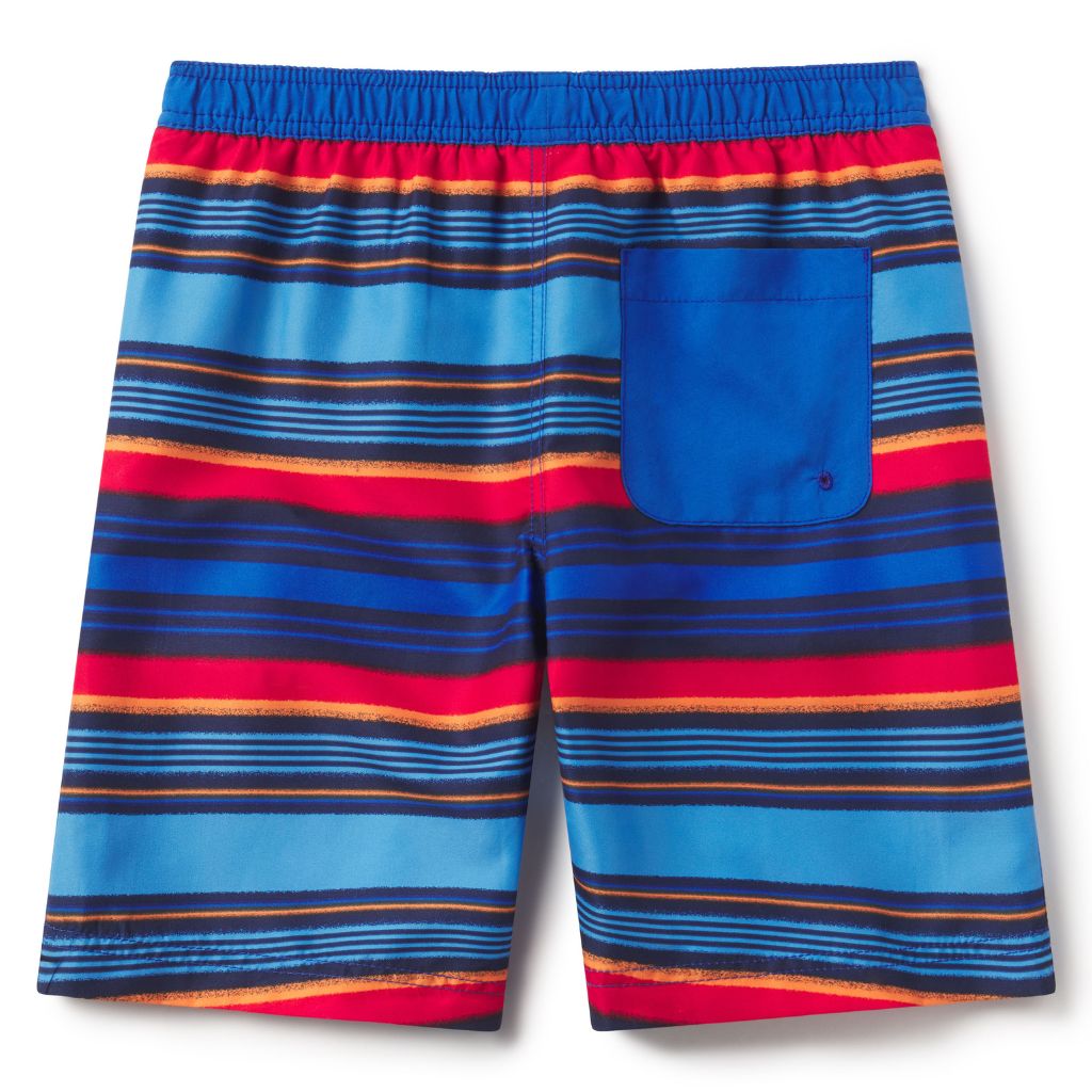 Speedo Print Boardshort 17" Turkish Sea 