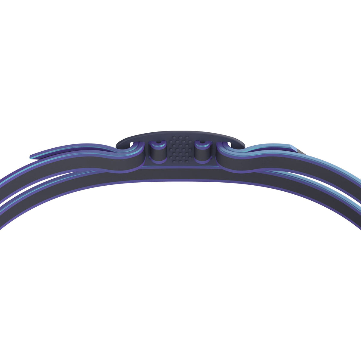 Speedo Vanquisher 3.0 Mirrored Ltd. Dusk Purple Iridescent Midnight