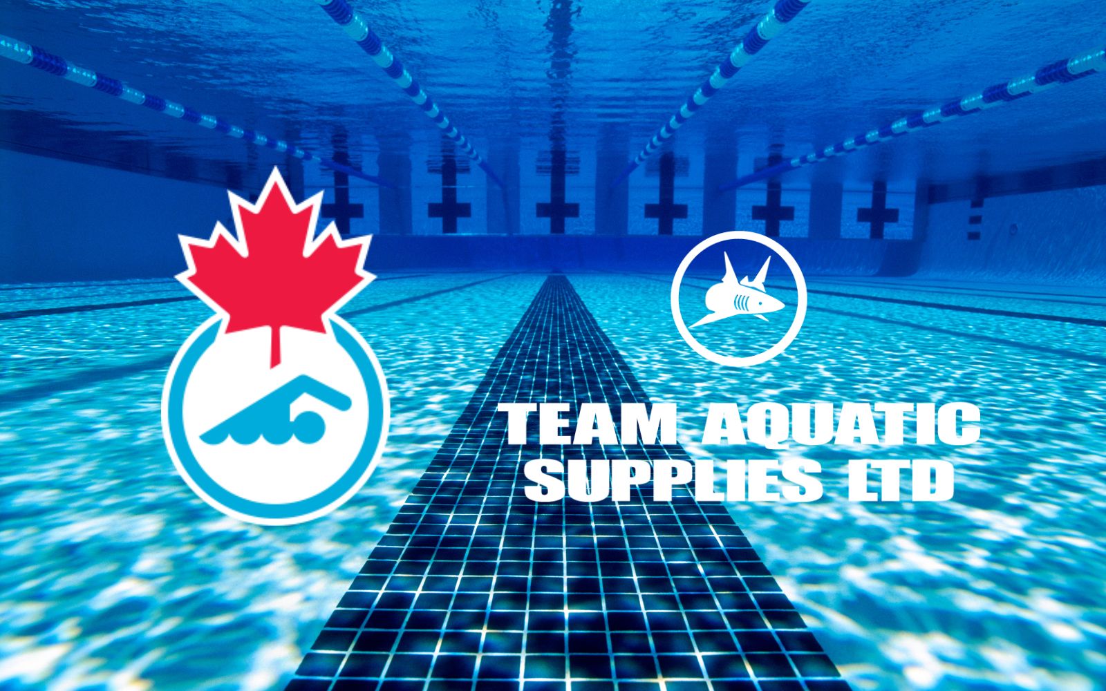 ウェア teamsea Team Aquatic Supplies | Competitive Swimwear and Training